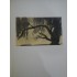 FLORICA - ION PILLAT , STEFAN POPESCU  1926 ( ex. 336 / 1003 cu semnaturile autorilor)